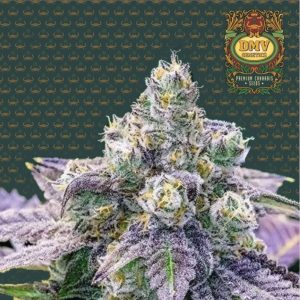 Fruity Pebbles (Photoperiod)