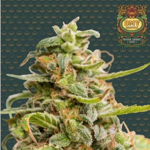 White Crystal (Auto)