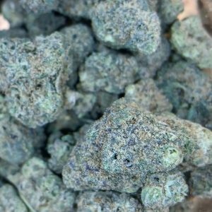 Black-Cherry-Gelato-Flower-Maryland