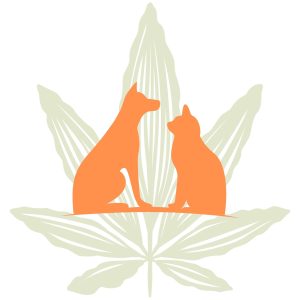 CBD Pet Tinctures