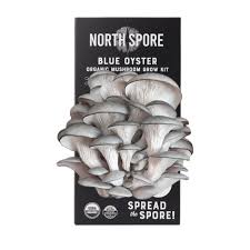 Blue Oyster Mushroom Grow Kit