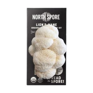 Lion's Mane Mushroom Grow Kit