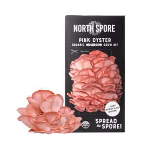 Pink Oyster Mushroom Grow Kit