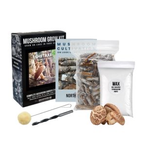 Shiitake Mushroom Grow Kit