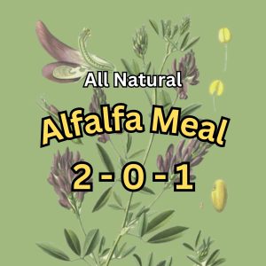 Alfalfa Meal