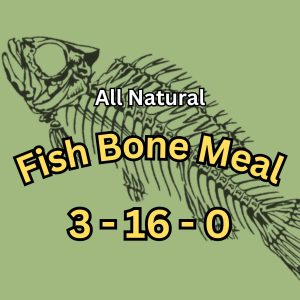 Fish Bone Meal