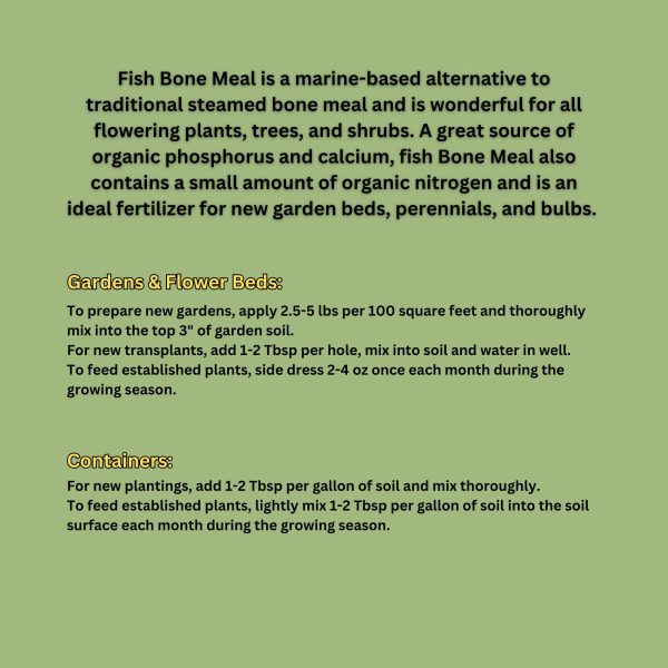 Fish Bone Meal - Image 2