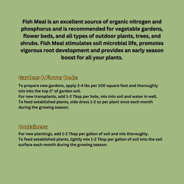 Fish Meal - Image 2