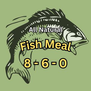 Fish Meal
