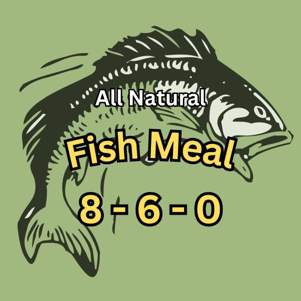 Fish Meal
