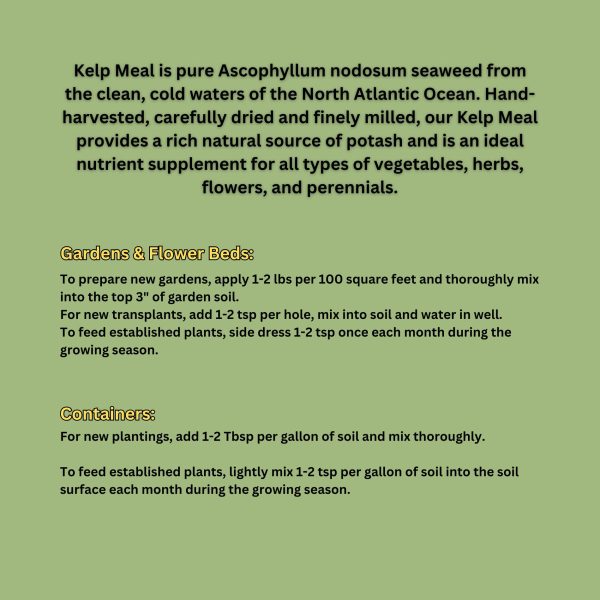 Kelp Meal - Image 2