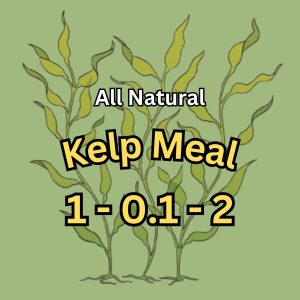 Kelp Meal