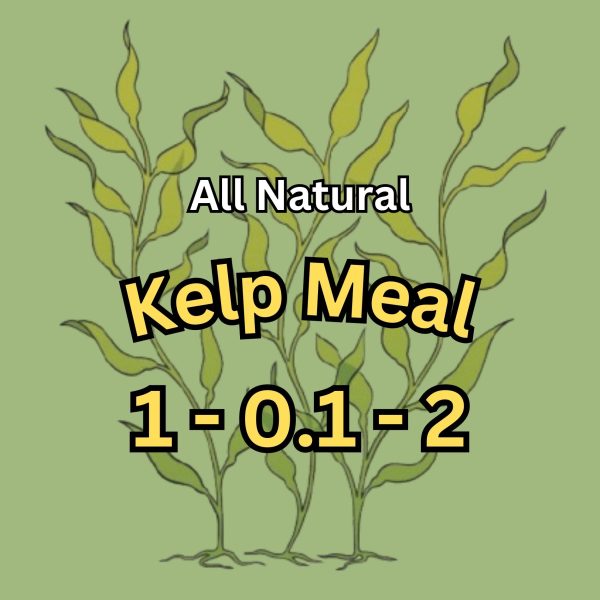 Kelp Meal