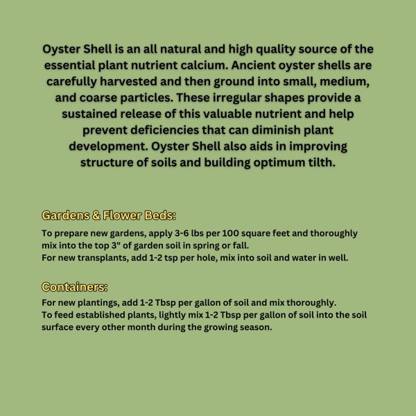 Oyster Shells - Image 2