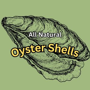 Oyster Shells