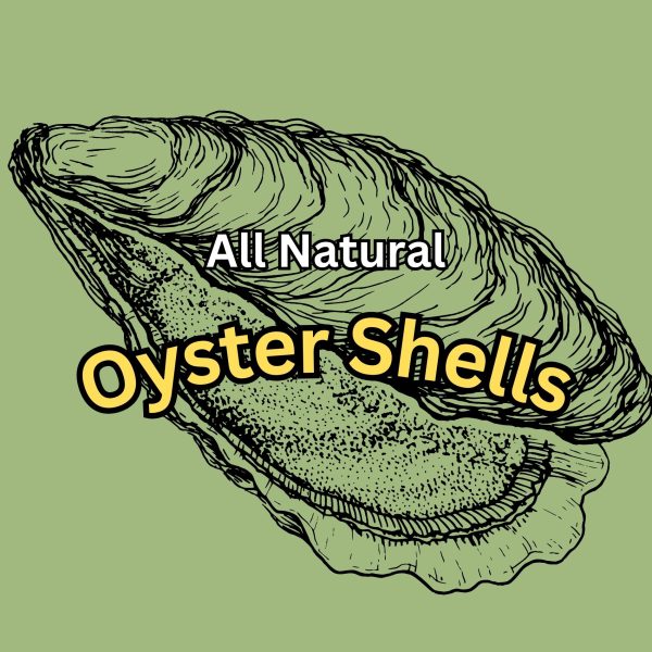 Oyster Shells