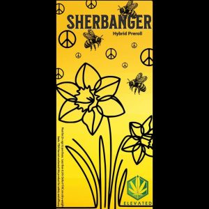 Sherbanger 1g Pre Roll